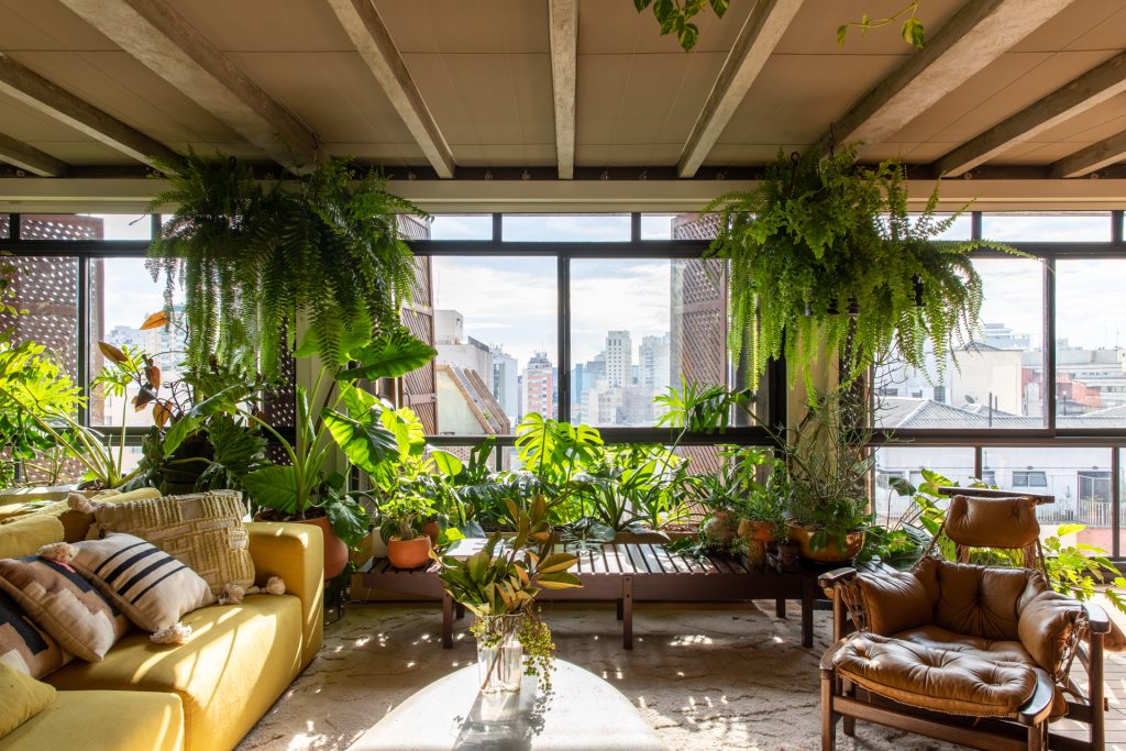 Low-Maintenance Plants for Busy Homeowners: Greenery Without the Hassle